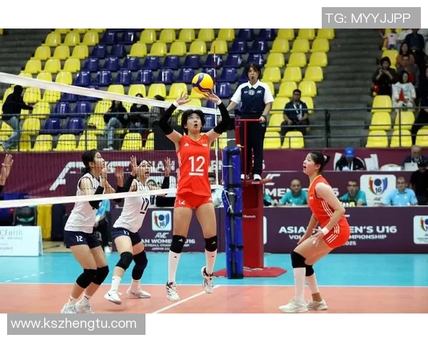 武汉排球队的节奏与风采探秘：排球运动在城市中的热情与发展