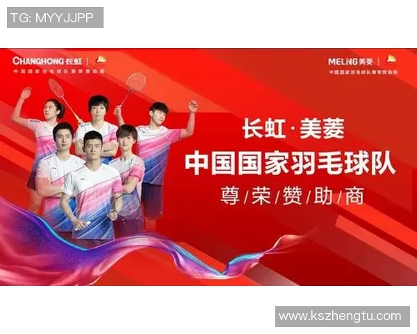 武汉羽毛球队运营模式分析与发展前景探讨