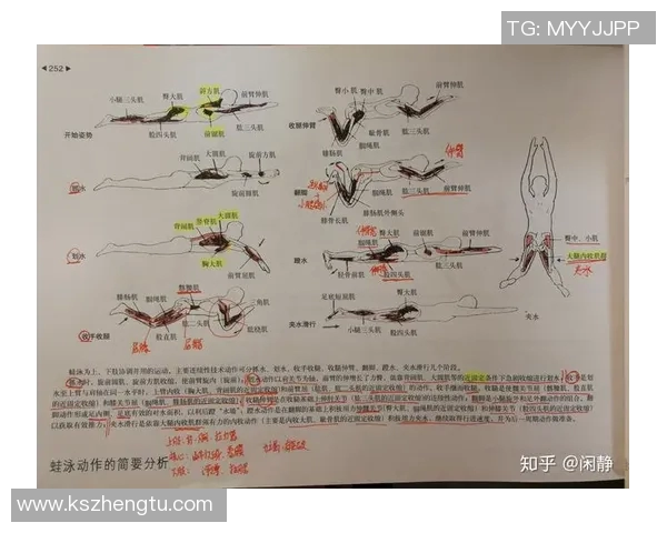 蛙泳技术提升训练全攻略：从基础动作到高效呼吸的全面解析